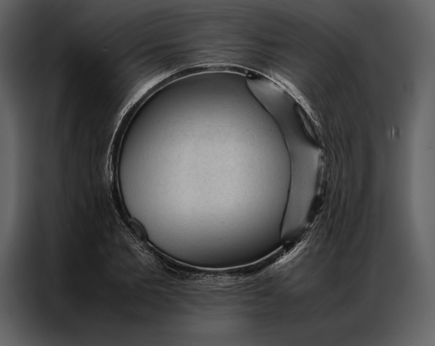 X0000086970885200705071354