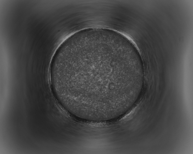 X0000086970887200705071354