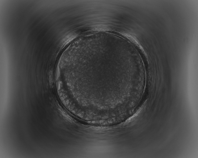 X0000086970889200705071354