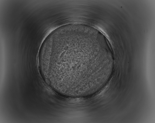 X0000086970891200705071354