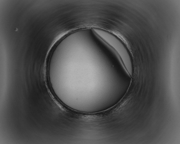 X0000086970894200705071354