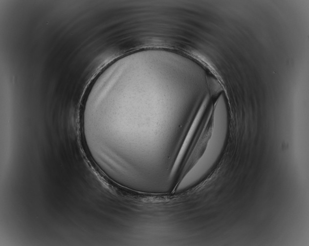 X0000086970898200705071354