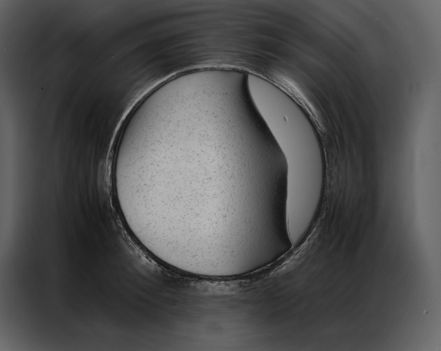 X0000086970900200705071354