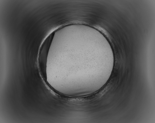 X0000086970902200705071354