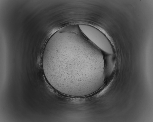 X0000086970905200705071354