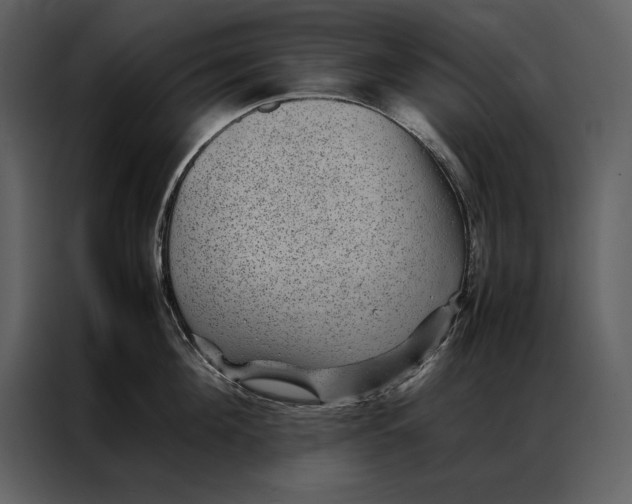 X0000086970908200705071354