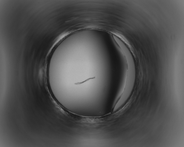 X0000086970910200705071354