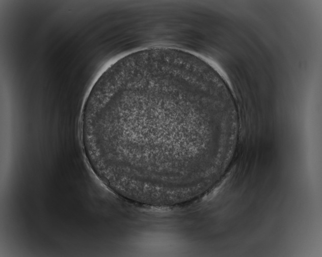 X0000086970911200705071354