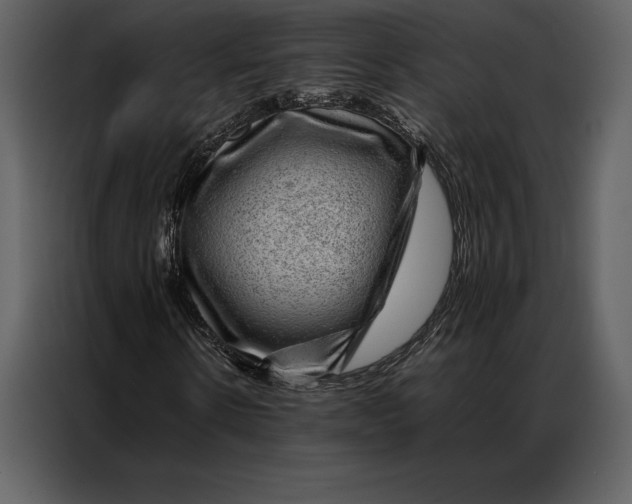 X0000086970914200705071353