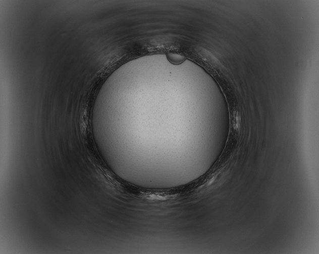 X0000086970915200705071353