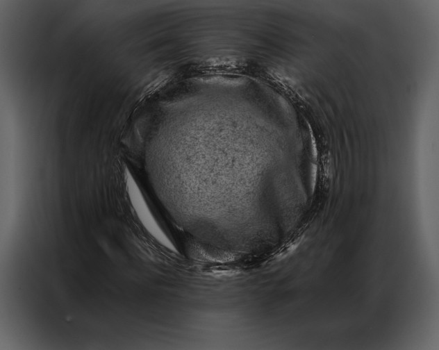 X0000086970916200705071353