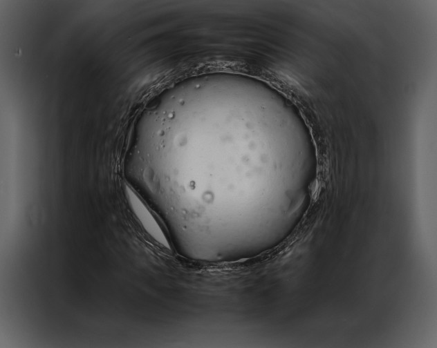 X0000086970917200705071353