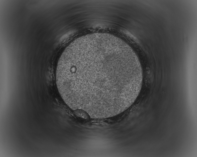 X0000086970918200705071353