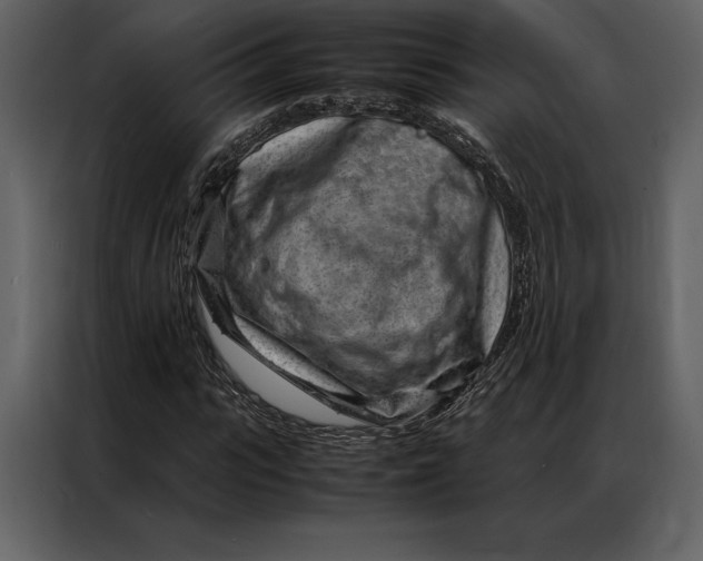 X0000086970919200705071353