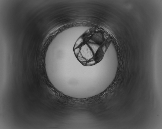 X0000086970920200705071353