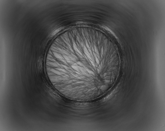 X0000086970921200705071353