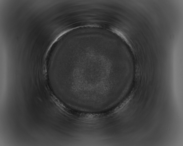 X0000086970923200705071353