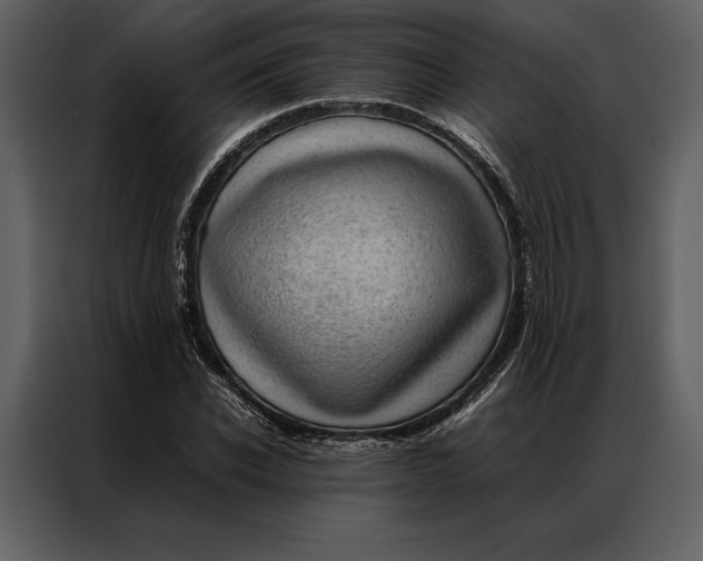 X0000086970926200705071353