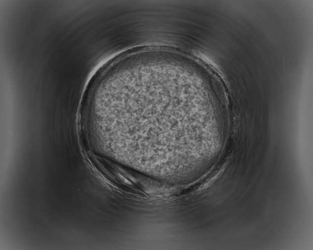 X0000086970928200705071354