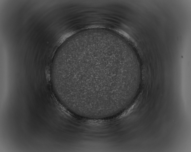 X0000086970929200705071354