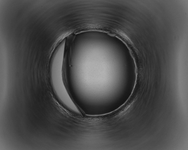 X0000086970930200705071354