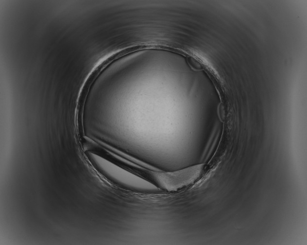 X0000086970932200705071354