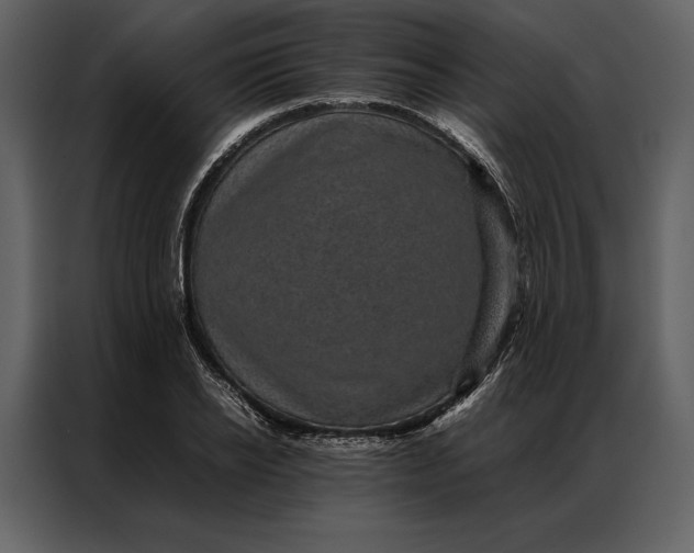 X0000086970934200705071354