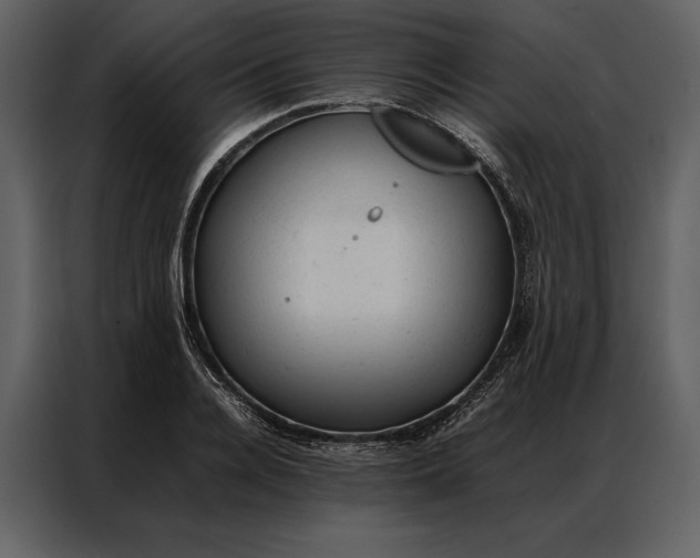 X0000086970936200705071354