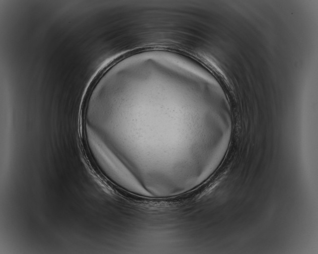 X0000086970940200705071354