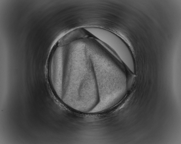 X0000086970944200705071354