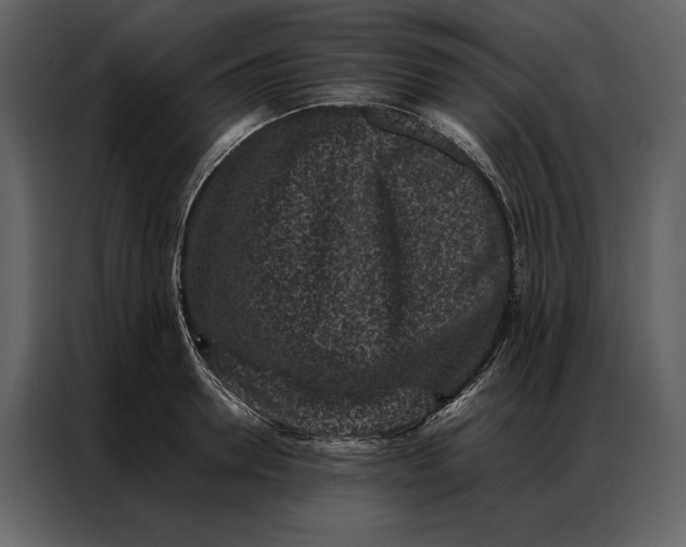 X0000086970946200705071354