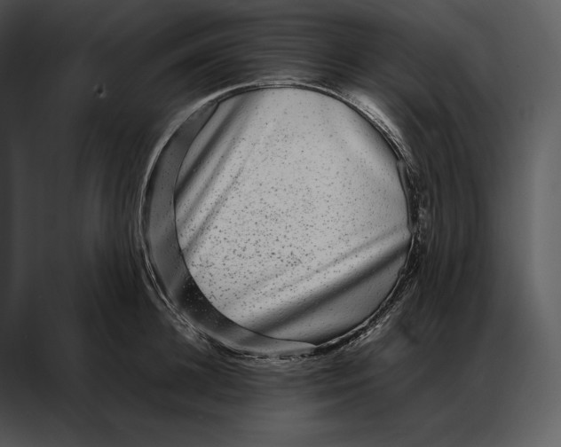 X0000086970948200705071354