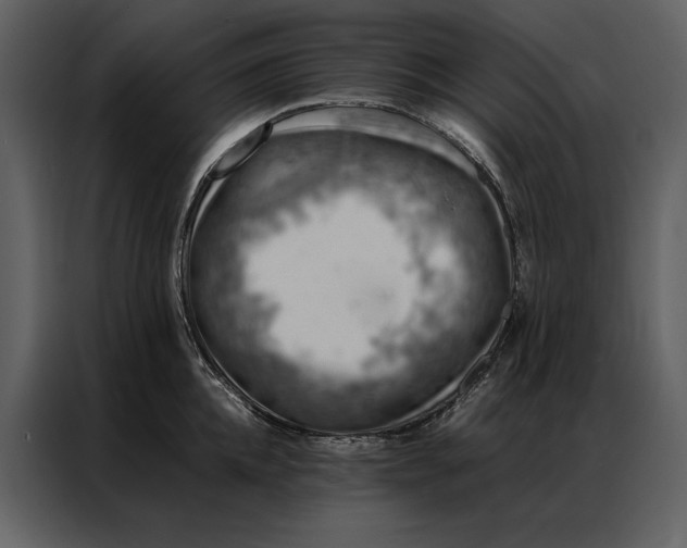 X0000086970952200705071354