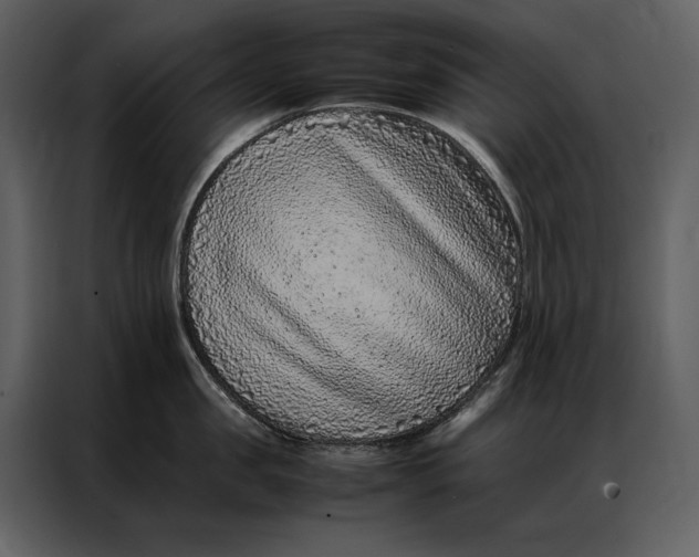 X0000086970957200705071354