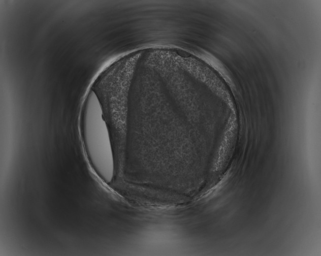 X0000086970958200705071354