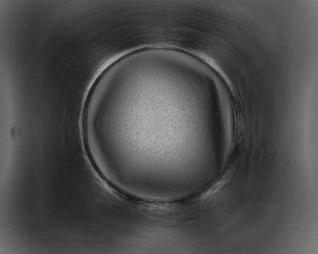 X0000086970959200705071354