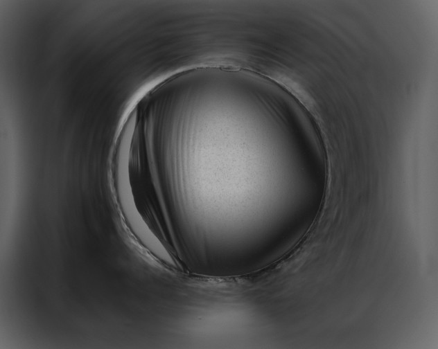 X0000086970960200705071354