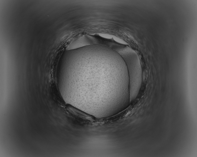 X0000086970965200705071353