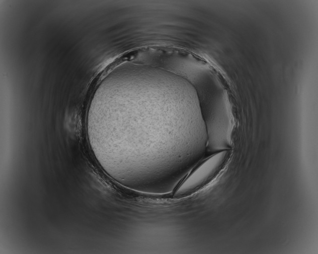 X0000086970969200705071353