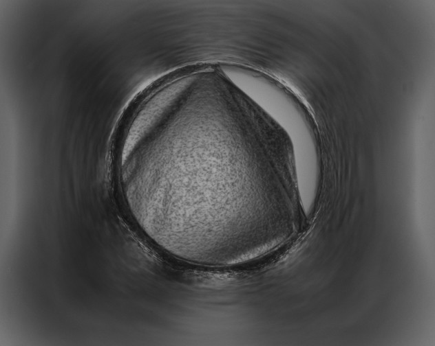 X0000086970975200705071353