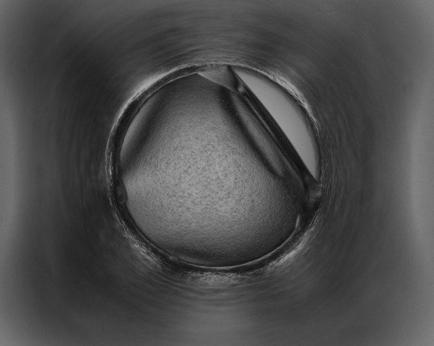 X0000086970981200705071353