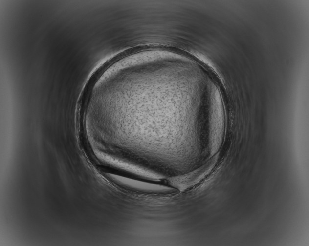 X0000086970983200705071353