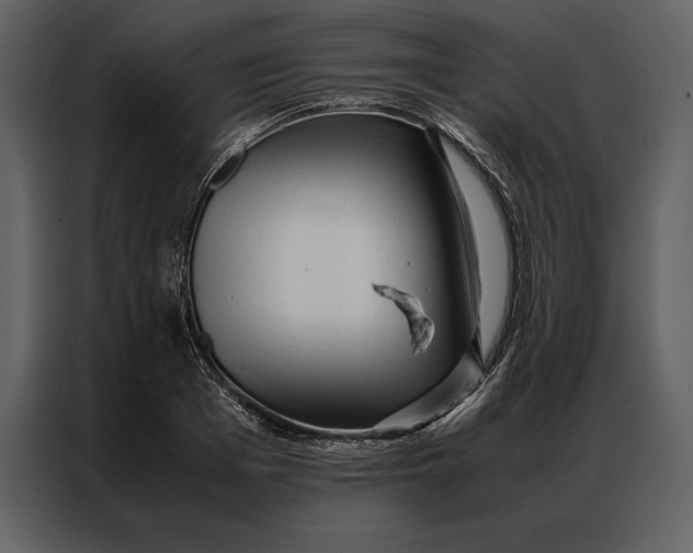 X0000086970985200705071353