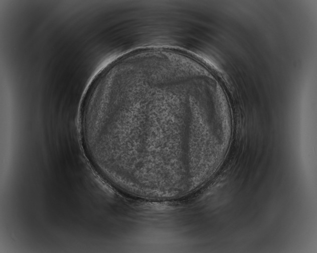 X0000086970990200705071353