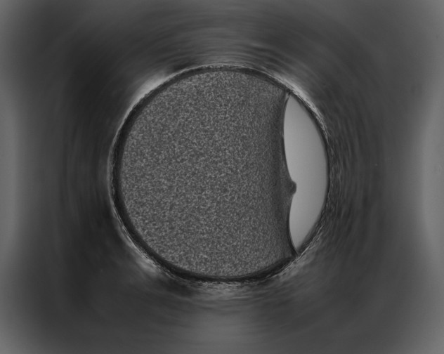 X0000086970991200705071353