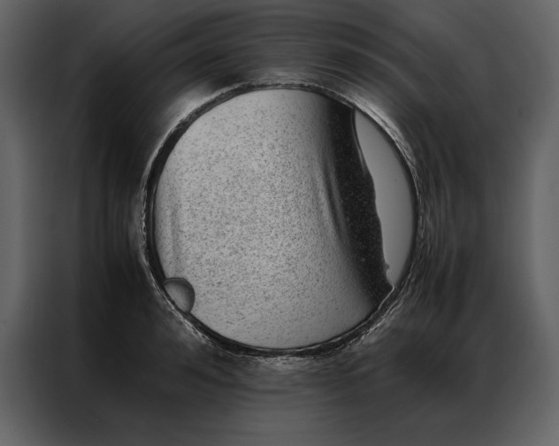 X0000086970992200705071353