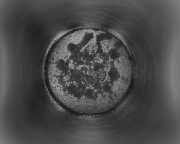 X0000086970995200705071353