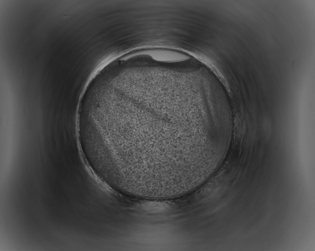 X0000086970998200705071353