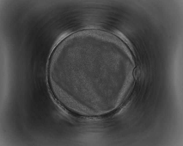 X0000086971002200705071353