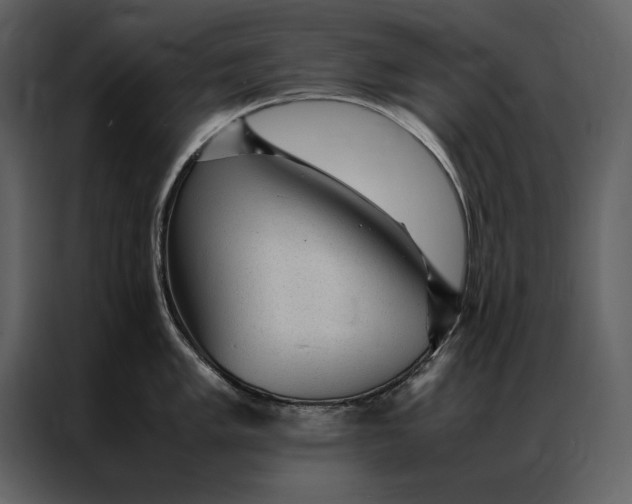 X0000086971005200705071353